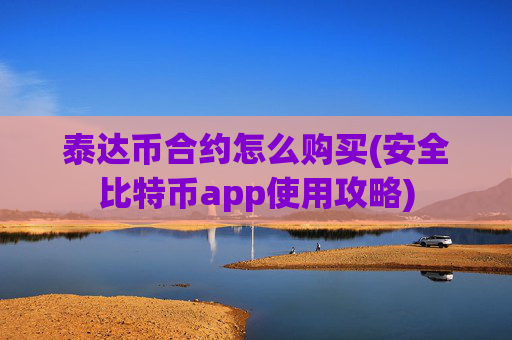 泰达币合约怎么购买(安全比特币app使用攻略)