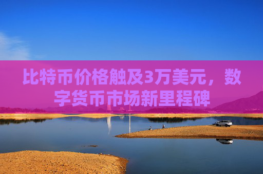 比特币价格触及3万美元，数字货币市场新里程碑