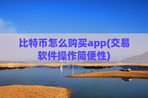 比特币怎么购买app(交易软件操作简便性)