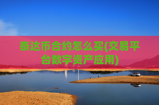 泰达币合约怎么买(交易平台数字资产应用)