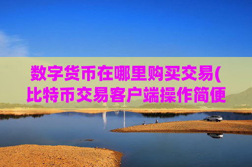 数字货币在哪里购买交易(比特币交易客户端操作简便实用)