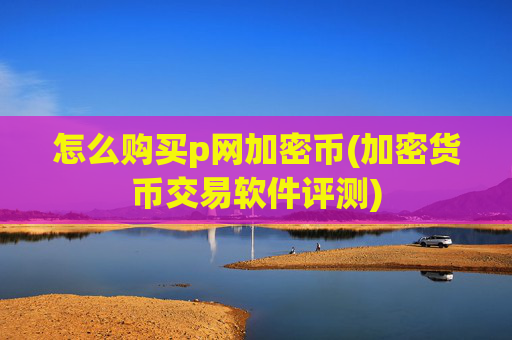 怎么购买p网加密币(加密货币交易软件评测)