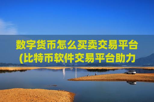 数字货币怎么买卖交易平台(比特币软件交易平台助力)