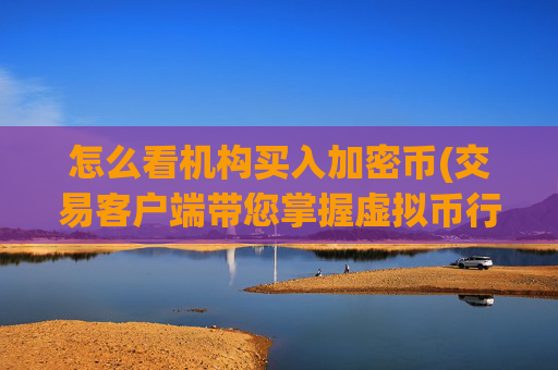 怎么看机构买入加密币(交易客户端带您掌握虚拟币行情)