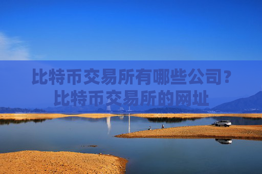比特币交易所有哪些公司？比特币交易所的网址