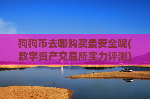 狗狗币去哪购买最安全呢(数字资产交易所实力评测)