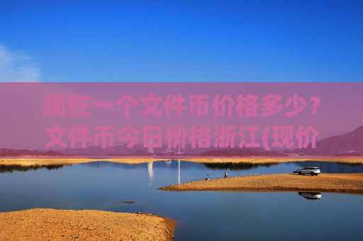 现在一个文件币价格多少？文件币今日价格浙江(现价57.086元)