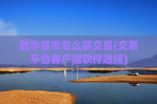 数字货币怎么买交易(交易平台客户端软件选择)