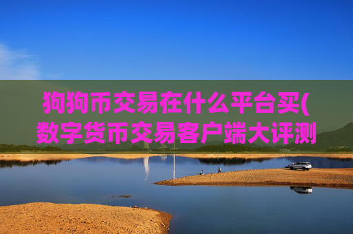 狗狗币交易在什么平台买(数字货币交易客户端大评测)