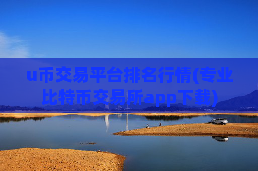 u币交易平台排名行情(专业比特币交易所app下载)