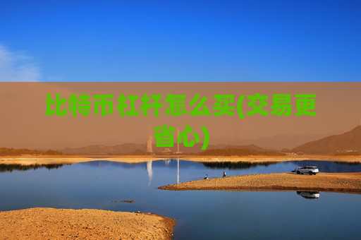 比特币杠杆怎么买(交易更省心)