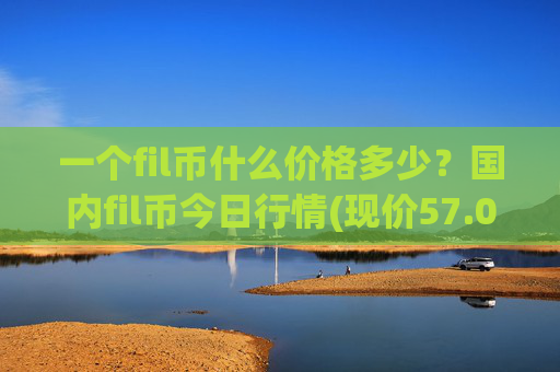 一个fil币什么价格多少？国内fil币今日行情(现价57.0853元)