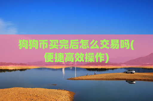 狗狗币买完后怎么交易吗(便捷高效操作)