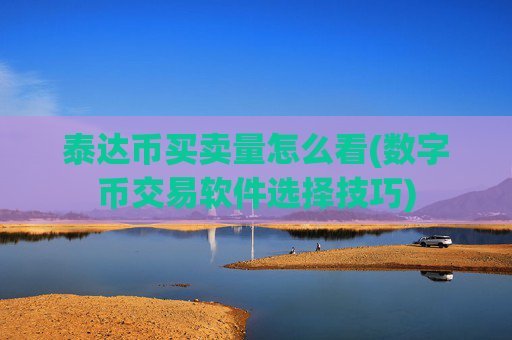 泰达币买卖量怎么看(数字币交易软件选择技巧)