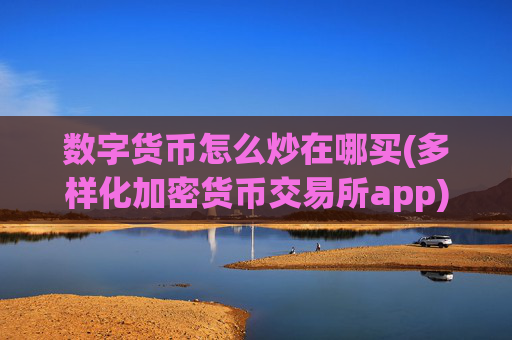 数字货币怎么炒在哪买(多样化加密货币交易所app)