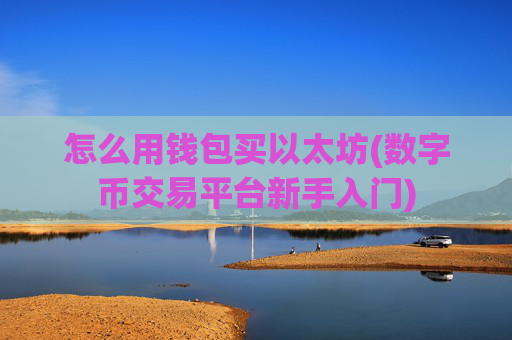 怎么用钱包买以太坊(数字币交易平台新手入门)