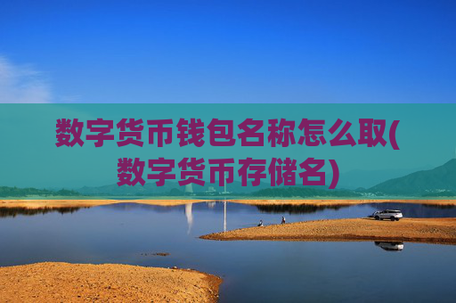 数字货币钱包名称怎么取(数字货币存储名)