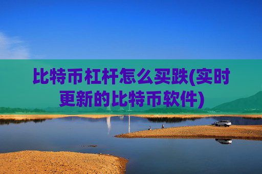 比特币杠杆怎么买跌(实时更新的比特币软件)