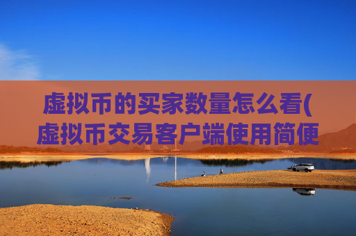 虚拟币的买家数量怎么看(虚拟币交易客户端使用简便)