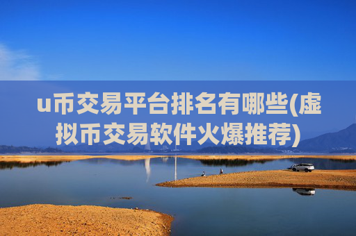 u币交易平台排名有哪些(虚拟币交易软件火爆推荐)