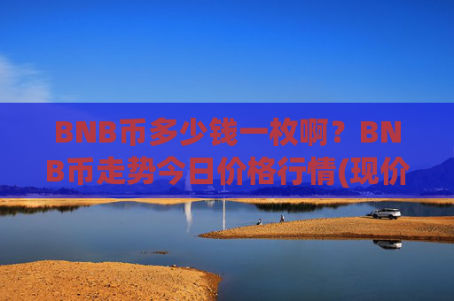 BNB币多少钱一枚啊？BNB币走势今日价格行情(现价5277.73元)