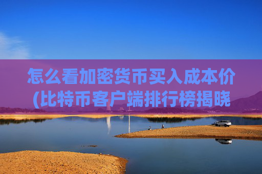 怎么看加密货币买入成本价(比特币客户端排行榜揭晓)