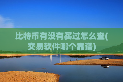 比特币有没有买过怎么查(交易软件哪个靠谱)