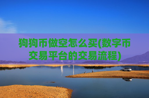 狗狗币做空怎么买(数字币交易平台的交易流程)