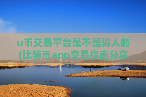 u币交易平台是不是骗人的(比特币app交易指南分享)