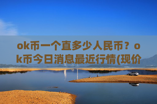 ok币一个直多少人民币？ok币今日消息最近行情(现价333.544元)