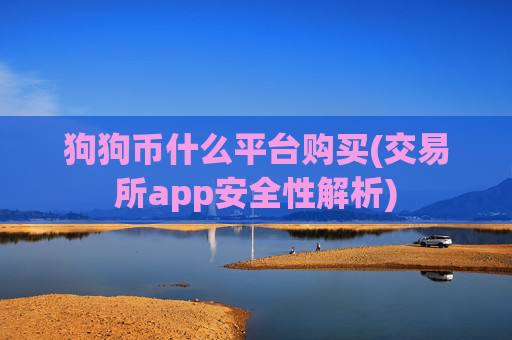 狗狗币什么平台购买(交易所app安全性解析)