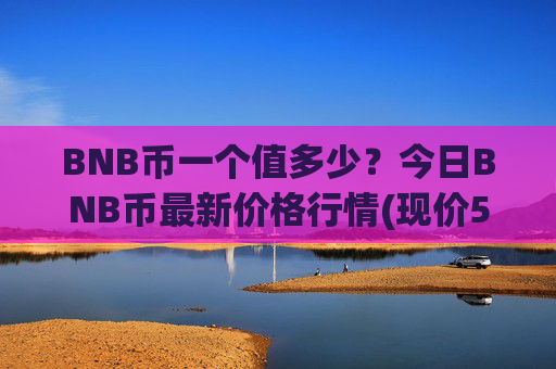 BNB币一个值多少？今日BNB币最新价格行情(现价5305.04元)