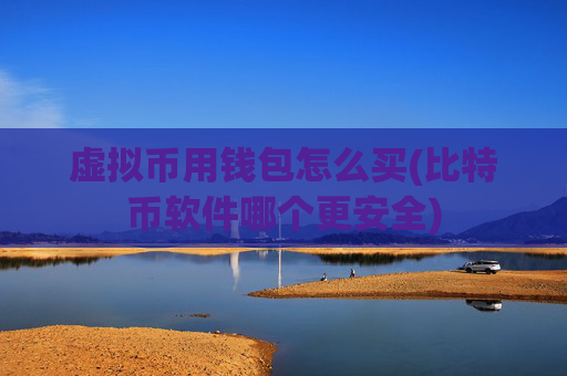 虚拟币用钱包怎么买(比特币软件哪个更安全)