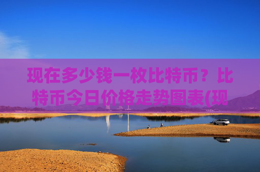 现在多少钱一枚比特币？比特币今日价格走势图表(现价705491.11元)