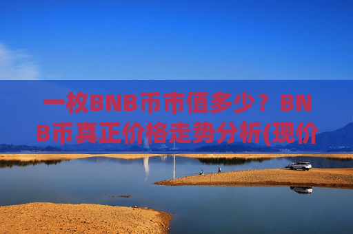 一枚BNB币市值多少？BNB币真正价格走势分析(现价5227.63元)