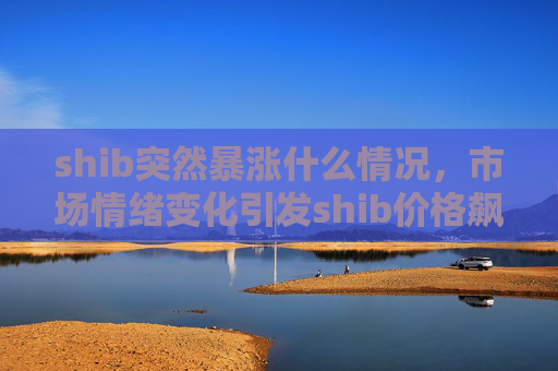 shib突然暴涨什么情况，市场情绪变化引发shib价格飙升