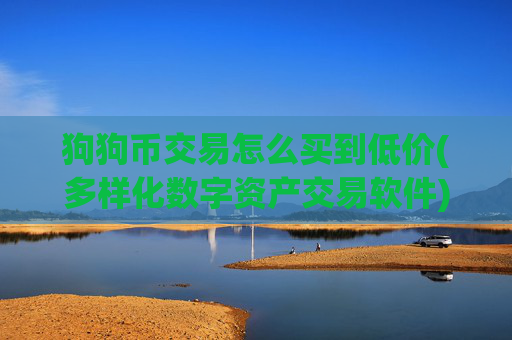 狗狗币交易怎么买到低价(多样化数字资产交易软件)