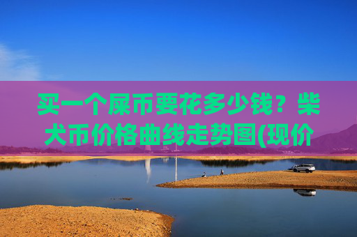 买一个屎币要花多少钱？柴犬币价格曲线走势图(现价0.00022536元)