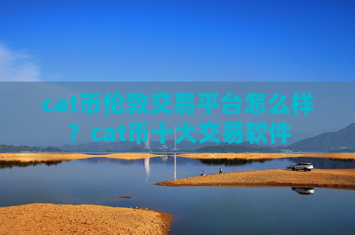 cat币伦敦交易平台怎么样？cat币十大交易软件