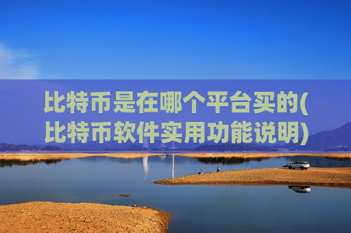 比特币是在哪个平台买的(比特币软件实用功能说明)