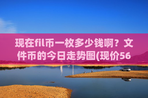 现在fil币一枚多少钱啊？文件币的今日走势图(现价56.4913元)