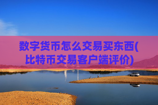 数字货币怎么交易买东西(比特币交易客户端评价)