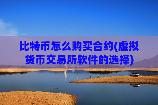 比特币怎么购买合约(虚拟货币交易所软件的选择)