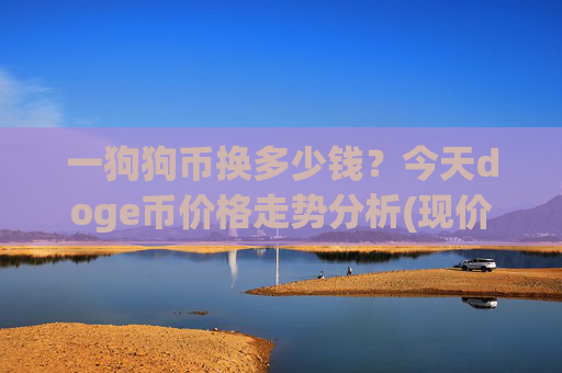 一狗狗币换多少钱？今天doge币价格走势分析(现价3.122元)