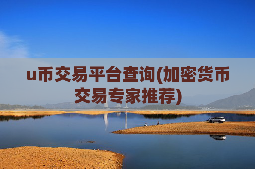 u币交易平台查询(加密货币交易专家推荐)