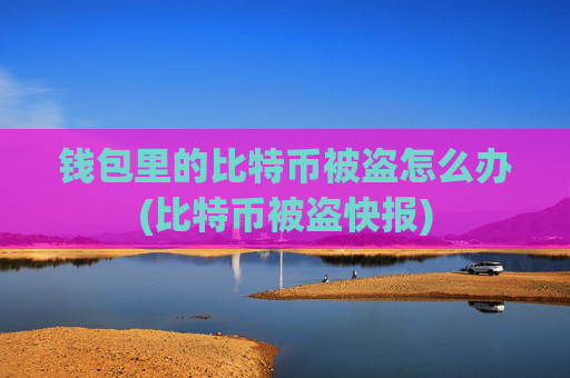 钱包里的比特币被盗怎么办(比特币被盗快报)