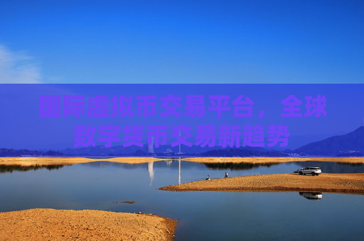 国际虚拟币交易平台，全球数字货币交易新趋势