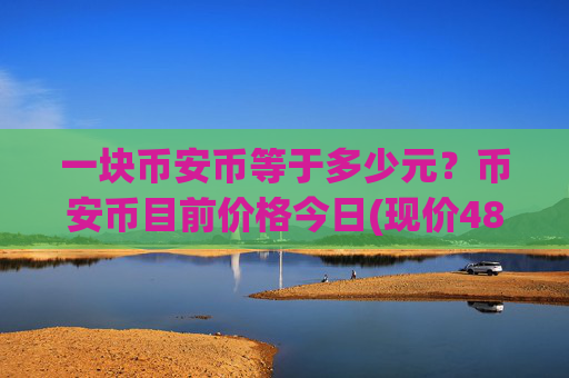 一块币安币等于多少元？币安币目前价格今日(现价4856.47元)