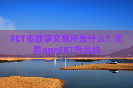 FET币数字交易所是什么？交易appFET币合约