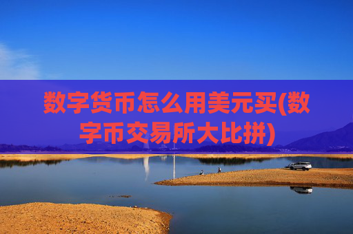 数字货币怎么用美元买(数字币交易所大比拼)